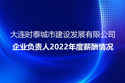大連時泰城市建設(shè)發(fā)展有限公司 企業(yè)負(fù)責(zé)人2022年度薪酬情況